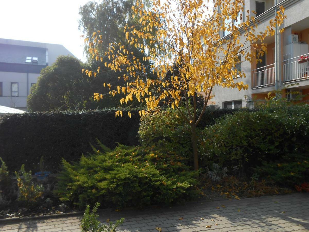 Marti 3 Bedroom Apartment 德布勒森 外观 照片